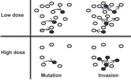 Figure 8 Visualization of the two steps of emergence, the mutationstep and the invasion step