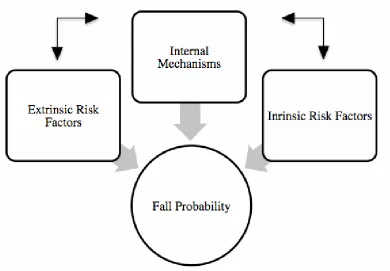 Figure 1. Interrelation of Intrinsic and Extrinsic Components of Fall-Risks 