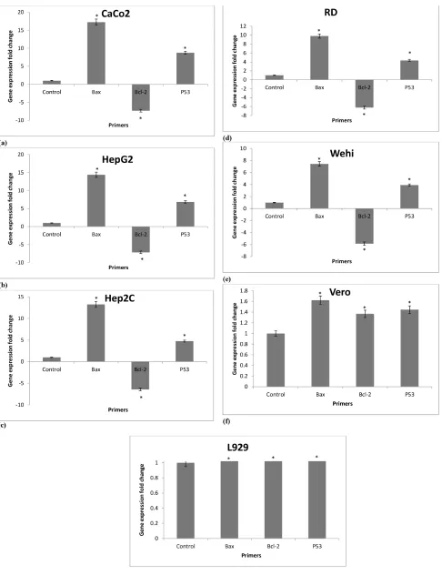 Figure 5: Vulpinic acid on the mRNA levels of CaCo2, HepG2, Hep2C, RD, Wehi, Vero and L929 cell lines (Values are statistically significant at * p < 0.05 respective control).
