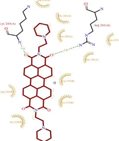 Figure 1: p) Hydrogen Bond Acceptor and Donor  Representation of Protein with the Ligand.