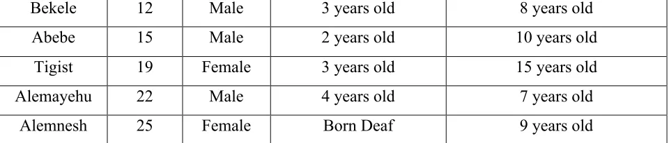 Table 1. List of co-researchers involved in project 