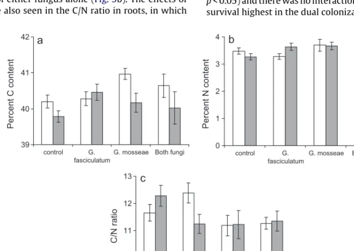 Fig. 3. Dry shoot biomass (a), root biomass (b) and the root/shoot ratio of plants with and without mycorrhizal colonization and root herbivory