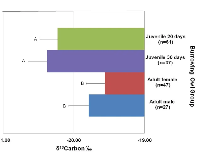 Figure 2.2. Burrowing owl δ 13 Carbon values (mean  SE).  Values not sharing the same  letter differ significantly