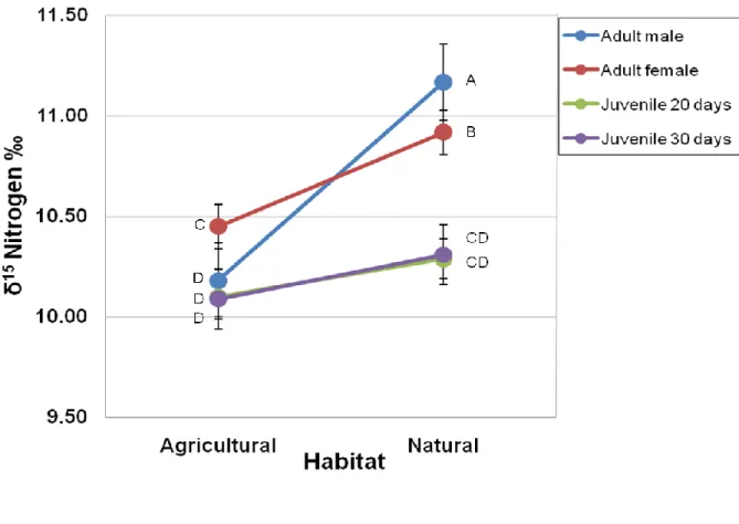 Figure 2.3. Burrowing owl δ 15 Nitrogen values (mean ± SE). Values not sharing the same  letter are significantly different
