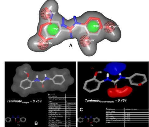 Figure 3: (A) Complete overlapping of TMS (silver color) and 