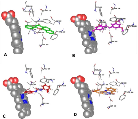 Figure 5: Binding mode analysis of ANF (A), TMS (B), BNUA-3 (C) and (D) BNUB-13. The various crucial interactions are red  color denotes H Bond acceptor, blue color shows H-Bond  donor, Yellow color indicates hydrophobic interaction and green color represents hydrophilic interaction.