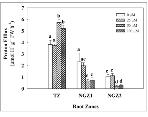 Figure 3. effect of coumarin on proton efflux from the TZ (3 mm), NGZ1 (20 mm) and NGZ2 (50 mm) of primary maize root