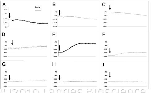 Table 1. Depolarization (DeP) and hyperpolarization (hYP) of root membrane potential along primary maize root by different concentrations of coumarin