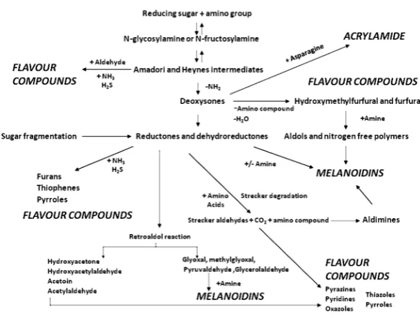 Figure 3. Structures of some of the classes of aroma and flavour compounds formed in the Maillard reaction, and of acrylamide 