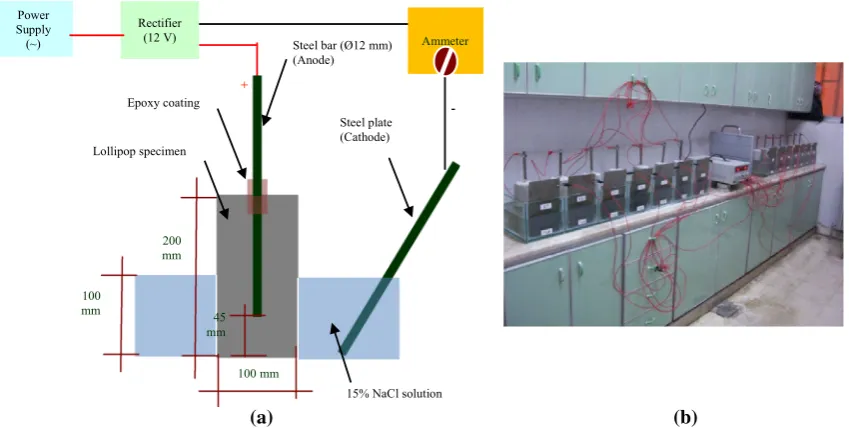Fig. 4 Experimental setup of rapid chloride penetration test. a Schematic representation of experimental setup of rapid chloridepenetration test