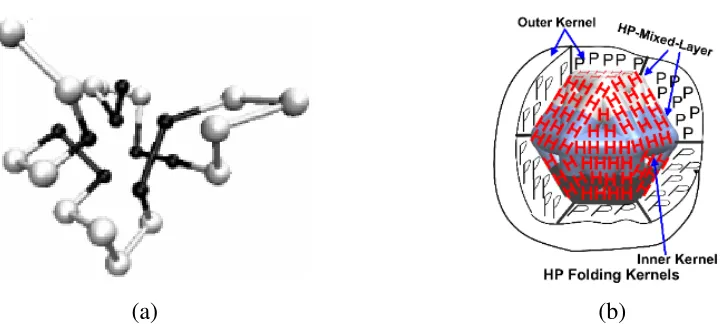 Figure 1: (a) Native like protein conformation 25, presented in a 3D hexagonal-close-packing (HCP) configuration using hydrophobic (H) and hydrophilic or polar (P) residues