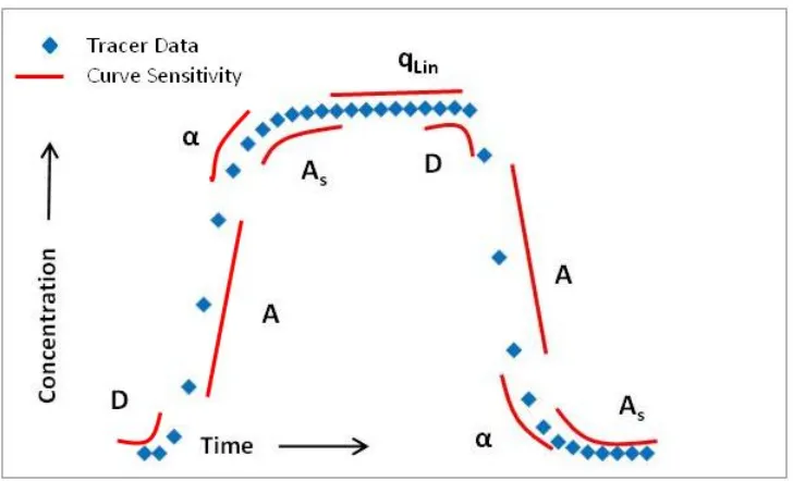Figure 1.2. Illustration of theoretical parameter sensitivity on a breakthrough curve (modified from Harvey & Wagner, 2000)