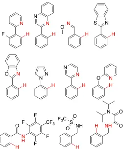 Figure 1: Examples of N–heterocylic and benzamide directing groups used for ortho directed fluorination  