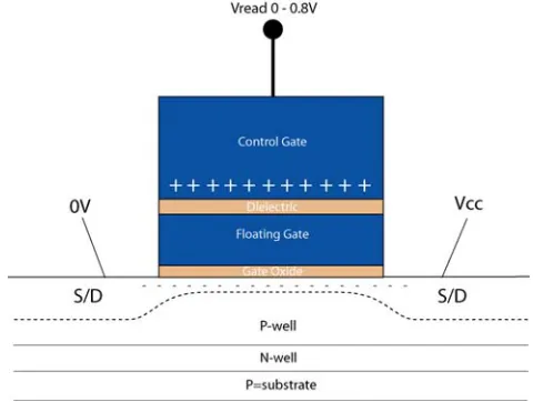 Figure 6. Reading a Non-Programmed or Erased Cell   