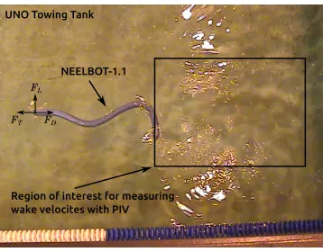 Figure 1.4: Region of interest for measuring ﬂuid ﬂow velocities using PIV techniques.
