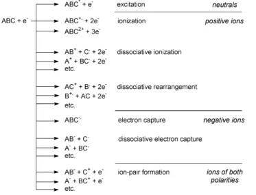 Figure 3.1. Possible processes under electron ionization conditions.2 