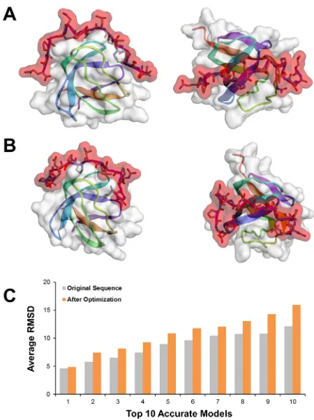 Figure 5: Domain-peptide binding validated by molecular docking. (A) The best fitted binding model of original peptide 