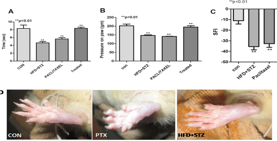 Figure 2: Lipid levels in type 2 diabetic animals. A) Levels of total cholesterol showing significant increase after treatment with HFD-STZ on week 7 when compared to control and paclitaxel; B) Levels of Triglyceride showing significant increase (p<0.001) 