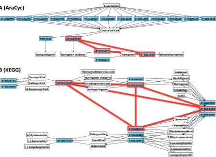 Figure 5: Visualisation of enzymes in the flavonoid biosynthesis pathway in Ondex as defined by AraCyc (A) andKEGG (B) databases