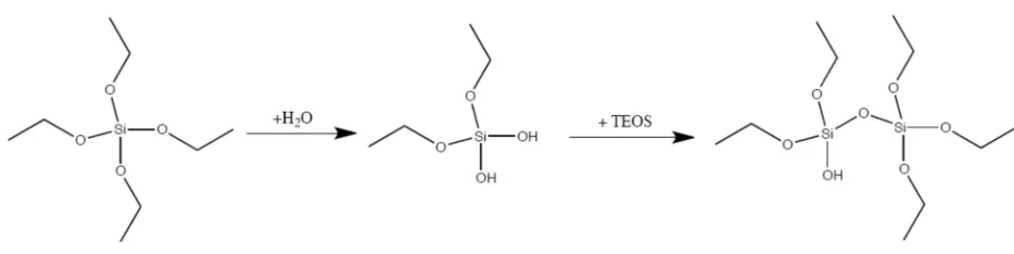 Figure 1- 1. Synthetic Scheme of TEOS hydration and monomer formation used in our work 
