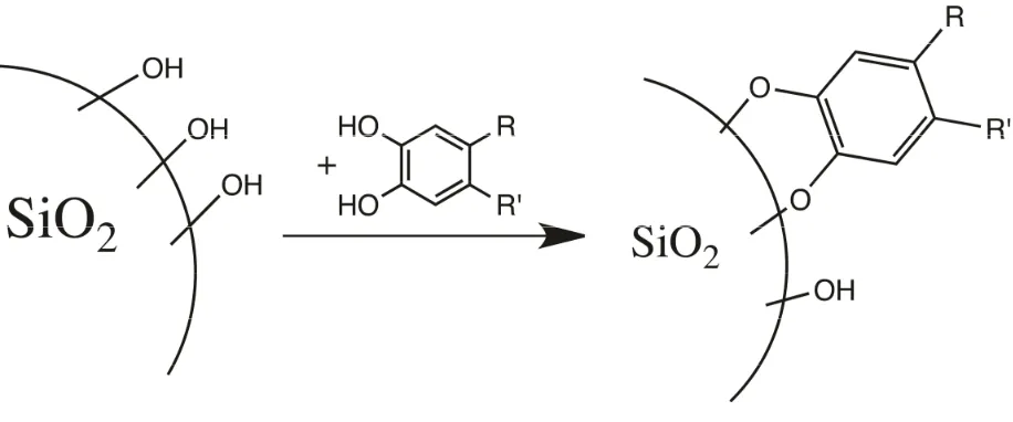 Figure 1- 2. Catechol attack of surface silyl groups24 