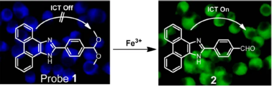 Figure 1- 9. Graphic reproduced from Zhang and coworkers. The figure presented a molecular probe capable of ratiometric Fe3+ detection using fluorescence shifts96 