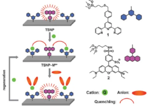 Figure 1- 10. Figures reproduced from Rurack and coworkers Shows the scheme proposed for the quencher displacement assay using a modified LUDOX silica core with terpyridine groups and rhodamine B surface functionalization.40 