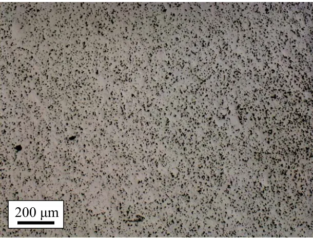 Figure 4.18.  Optical micrograph of the cross section of the SPS nickel sample produced 