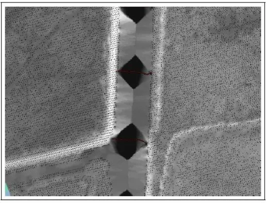 Figure 3.2: A surface raster generated using an inverse distance weighted function [7]