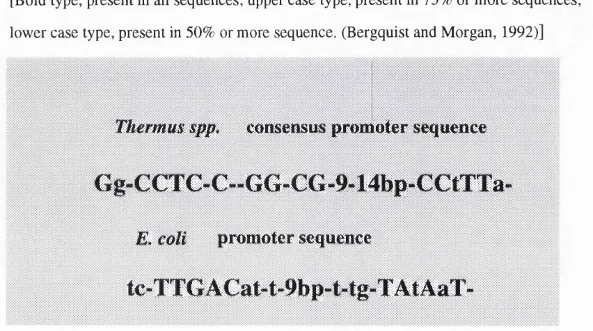 Figure 1.13 Consensus promoter sequence for Thermus spp. cloned genes.