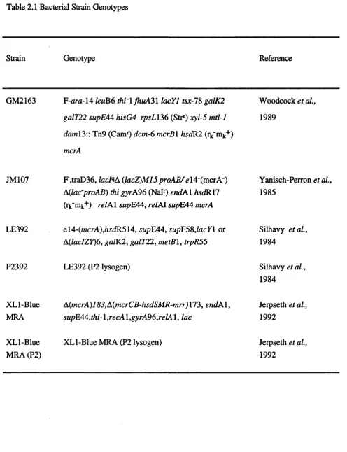 Table 2.1 Bacterial Strain Genotypes