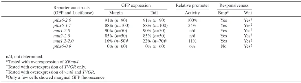 Table 1. Comparison of the targeting ability and promoter activity of different reporter constructs