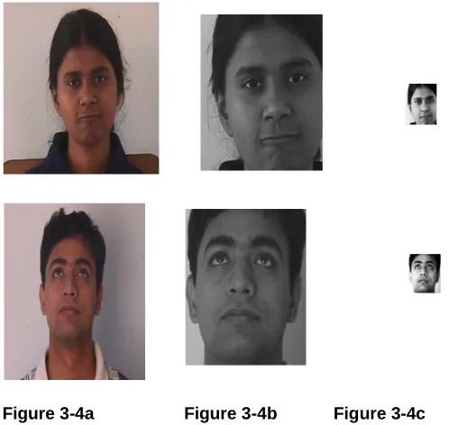 Figure a=Original Images (640x480 pixels), Figure b =Cropped images, Figure c=Resized (60x50 pixels) &Histogram equalised Images 