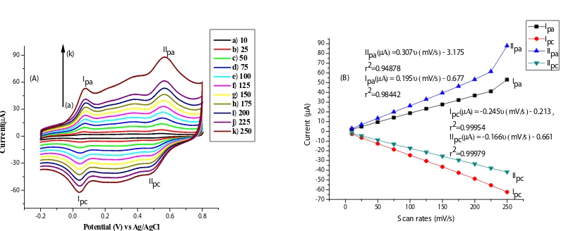 Fig. 4: Cyclic voltammograms of LG-co-AHNSA/GCE composite film modified electrode recorded at scan rates of 10 – 250 mV/s (inner to outer) in 0.1 M HNO3 (A), plots of peak current vs