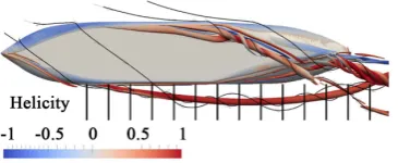 Figure 5. Vortex system and PIV Measuring planes around the FSV. 