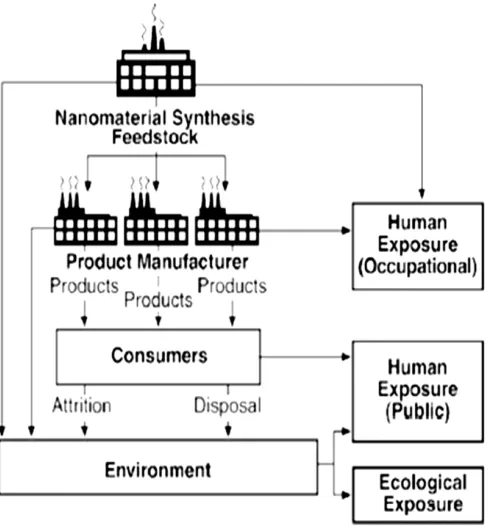 Fig. 3: Potentials to release and exposures