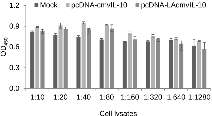 Figure 10. Initial LAcmvIL-10 ELISA development. Cell lysates from mock, cmvIL-10, and LAcmvIL-10 transfections were tested in an initial version of a specific LAcmvIL-10 ELISA