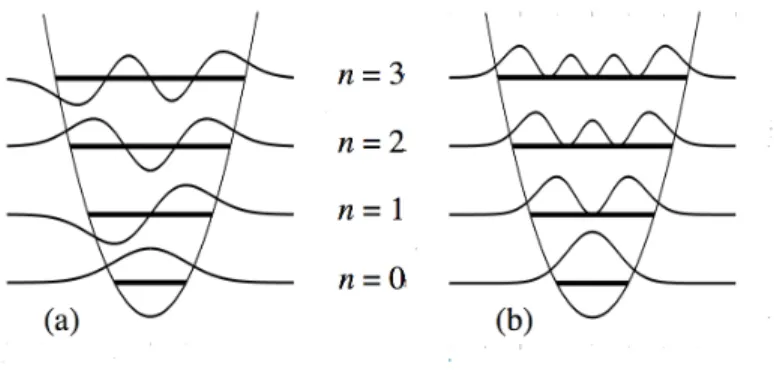 Figure 7: (a) Wave functions and (b) the probability density for the first four energy levels of a harmonic oscillator.