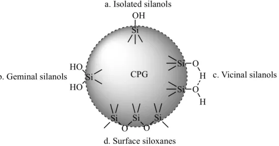 Figure 1-1.  Different types of CPG surface groups.  Reproduced from Zhuravlev.8   
