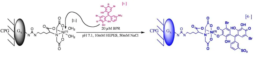 Figure 1.5 .  Picture of the introduction of a substrate to the molecular sensing ensemble and detachment of the dye molecule.21  