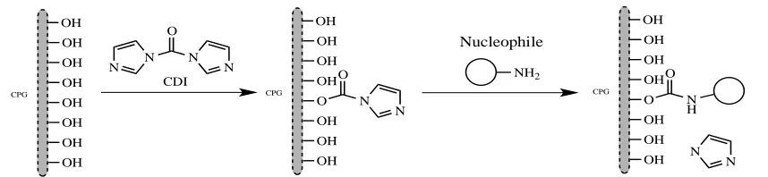 Figure 2-2.   Reproduced from Stollner and Scheller.2 Shows the binding of CDI to CPG and a terminal amine to CDI