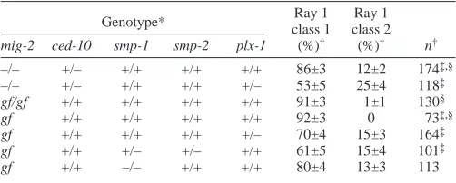 Table 4. Requirement for Plexin 1 signaling in anteriordisplacement of ray 1 occurring at low doses of wild-type