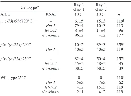 Table 6. Effect of RNAi of rho-1 and RHO-kinase genes onmale ray 1 precursor cluster position