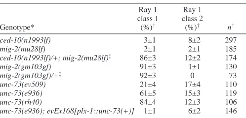 Fig. 4. Localization of C. elegans PLX-1 in Cos7 cells. Cos7 cells were