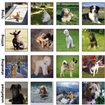 Fig. 1. Dataset samples corresponding to distinct behaviors identified in dogs.