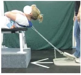 Figure 7: Isometric Trunk Flexion Strength Testing 