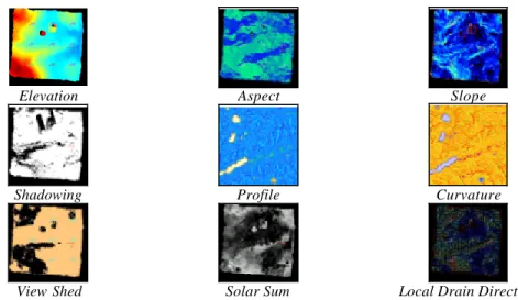 Figure 4: Analysis functions currently implemented in  Illuminating Clay 7 . 