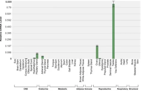 Figure 2-1.  DAX-1 relative mRNA levels in many tissue types.  Notable DAX-1 expression is 