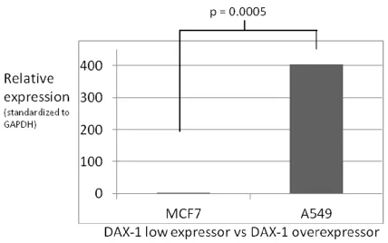 Figure 2-4. Results from qPCR  analysis of DAX-1 cDNA from MCF7 cells compared to A549 