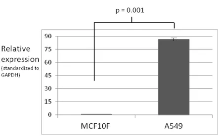 Figure 2-5.  Results from qPCR  analysis of DAX-1 cDNA from MCF10F cells compared to 